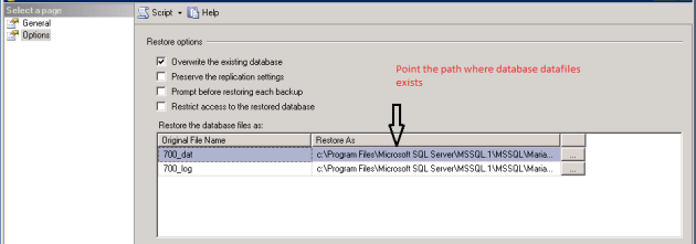 Restore Database_Options(SQL Server 2005)