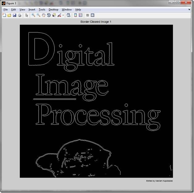 Digital_Image_Processing_Bordered_Cleared_Image_1