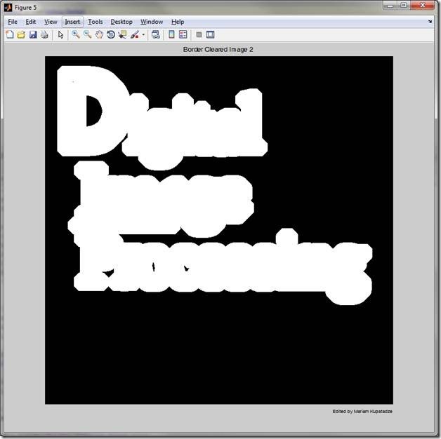 Digital_Image_Processing_Border_Cleared_Image_2