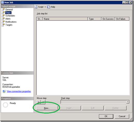 SQL Server New Job Steps Tab