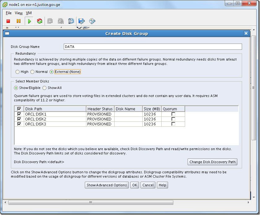 Virtual Machine_Grid_Installation_asmca_Create_Disk