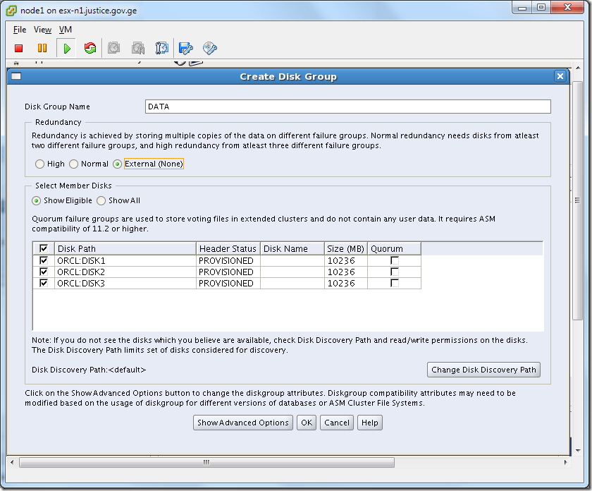 Virtual Machine_Grid_Installation_asmca_Create_Disk